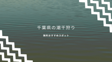 潮干狩り千葉県内おすすめはどこ 21年無料で蛤やあさりが採れるスポットは イバラニ