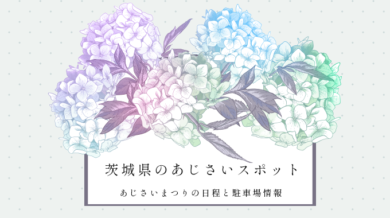 茨城県のあじさいスポットおすすめ4選 あじさいまつりの日程と駐車場情報 イバラニ